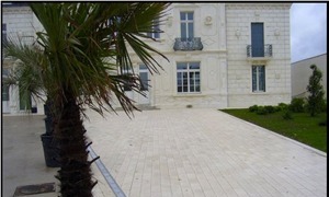 Beige Du Poitou