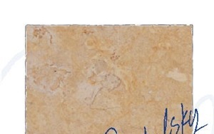Benjamin Gold Limestone