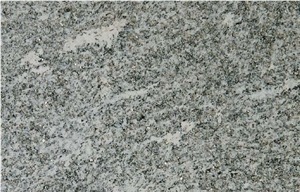 Beola Argentea Favalle Gneiss