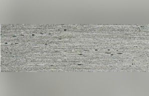 Beola Bianca Vogogna Gneiss