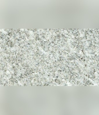 Bergell Gneiss