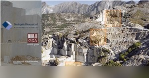 Bianco Carrara Venato D