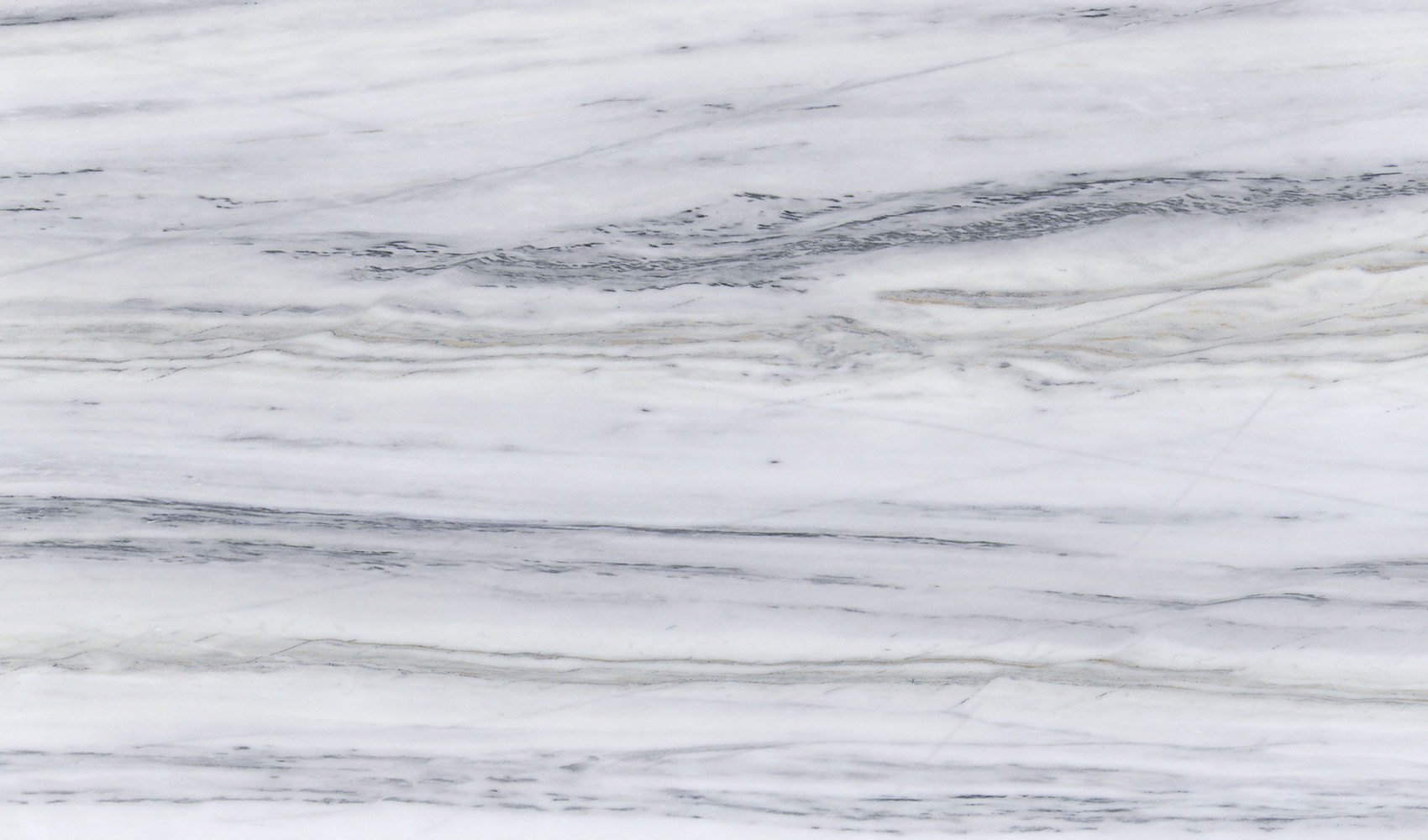 Bianco Lasa Elegante