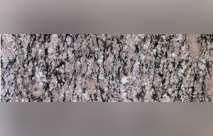 Bianco Rosa