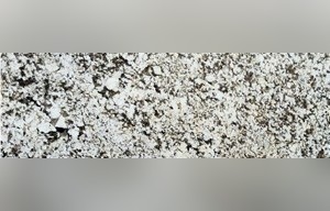 Bianco Torrone