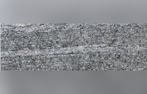 Biasca Gneiss