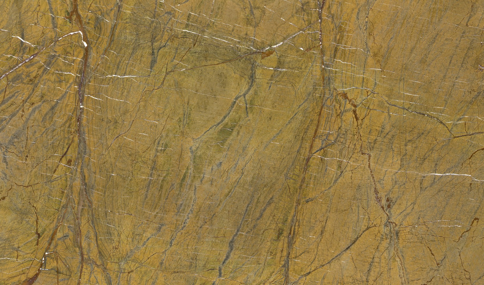 Bidasar Golden