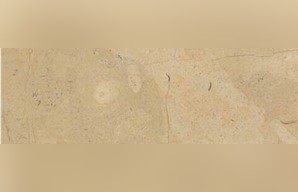 Birzeit Gold Limestone