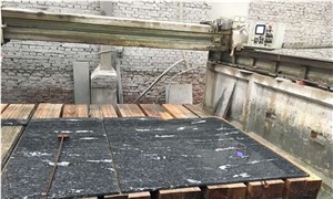 Black Snowflake Granite