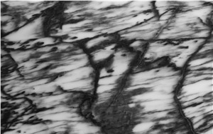 Black Sparrow Marble
