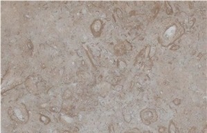 Blanco Fossil Travertine