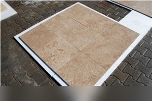 Blanco Fossil Travertine