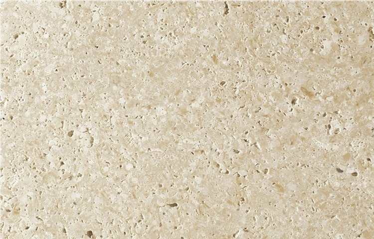 Blanco Fossil