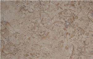 Blanco Fossil