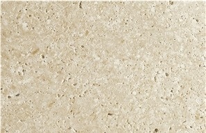 Blanco Fossil