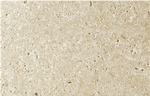 Blanco Fossil