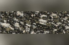 Bouvacote Gris-Noir