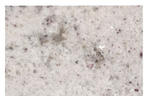 Branco Galaxy Granite