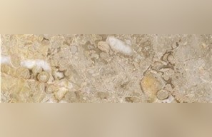 Breccia Fleury