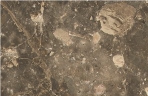 Breccia Paradiso Marble
