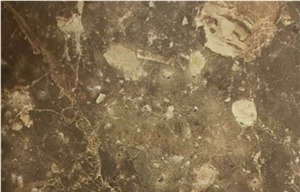 Breccia Paradiso Marble
