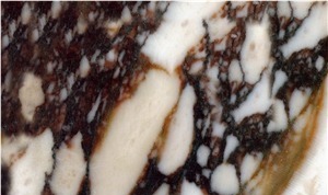 Breccia Vagli Rosata Marble
