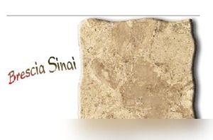 Brescia Sinai
