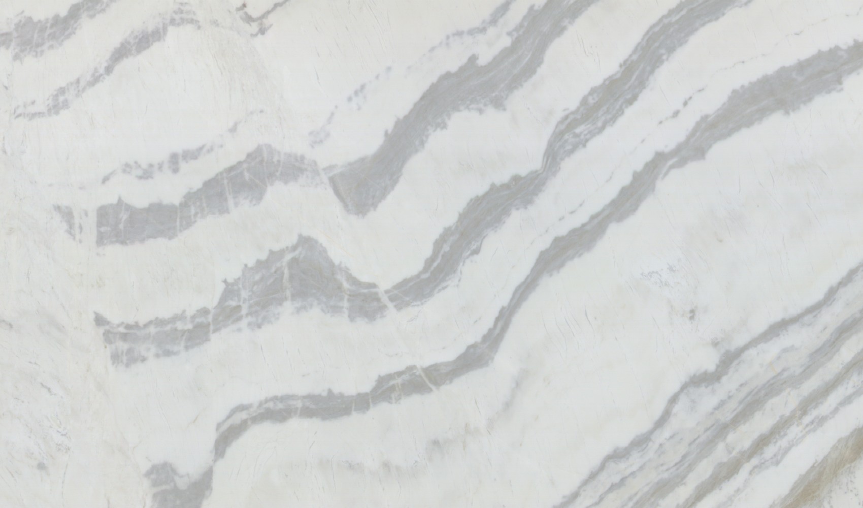 Calacatta Dolomite