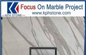 Calacatta Ducale Marble