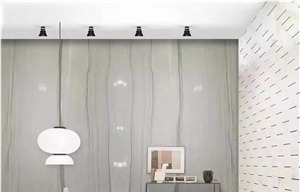 Calacatta Latte Quartzite