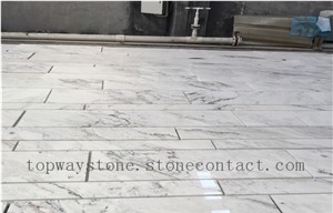Calacatta Lucina