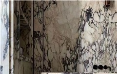 Calacatta Paonazzo Marble
