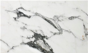 Calacatta Regular