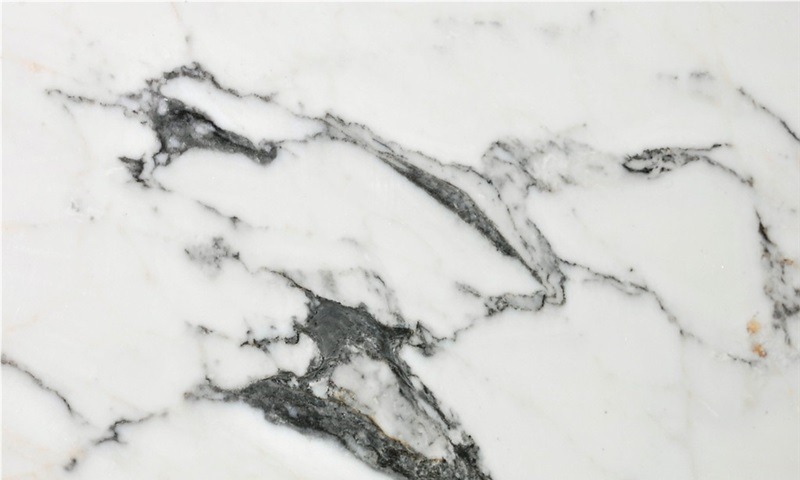 Calacatta Regular