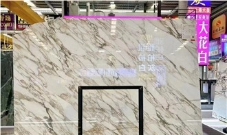 Calacatta Siena Marble