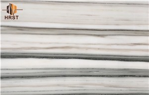 Calacatta Zebrino Marble