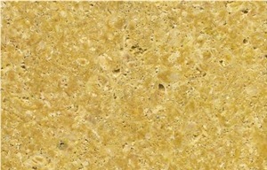 Caliza Fossil