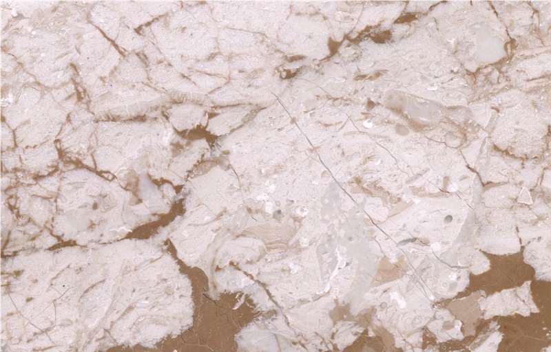 Camelia Beige