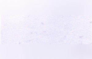 Canadian White Marble