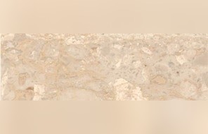 Carnis Breccia