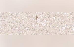 Cashmere Fossil