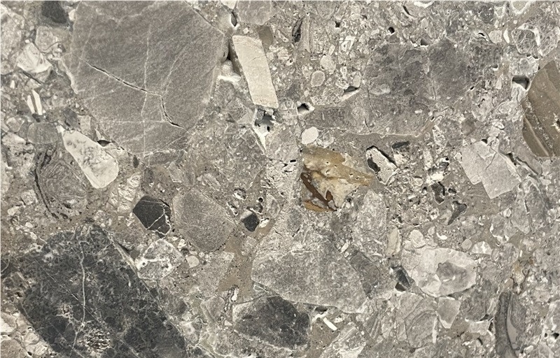 Ceppo Di Gre Conglomerate