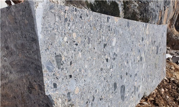 Ceppo Grigio Conglomerate