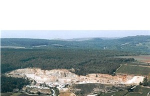 Chassagne Beauharnais Saumone Limestone