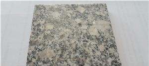 China Bianco Sardo Granite