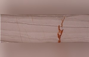 Cinza Bamboo