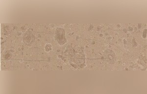 Classic Beige Moired