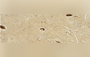 Conchuela Coral Stone
