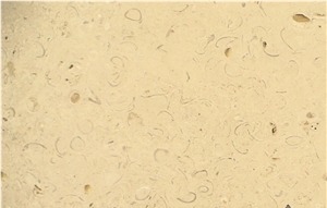 Coquina Shellstone