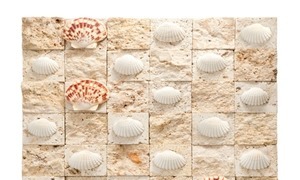 Coral Beige